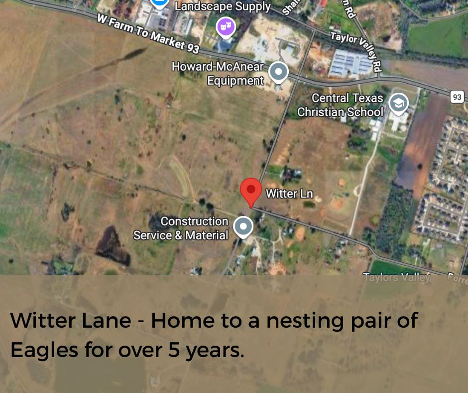 Satellite map near the data center site marking Witter Lane, home to a nesting pair of eagles for over five years